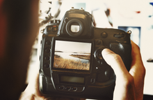 Mr. Sean's Photography & Animation (In-Person)